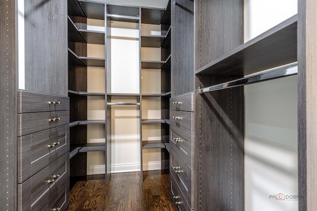 spacious closet with dark wood finished floors