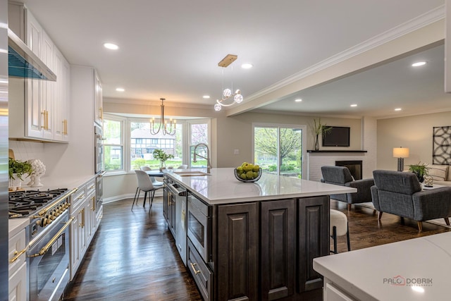 kitchen featuring a chandelier, appliances with stainless steel finishes, a sink, and dark wood-type flooring