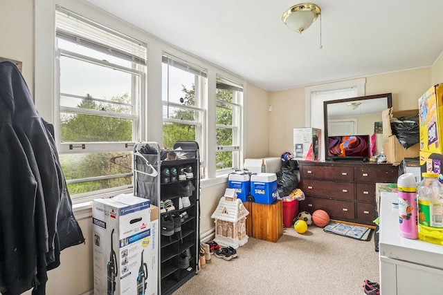 1127 Lathrop Ave, Forest Park, IL 60130 - view of storage