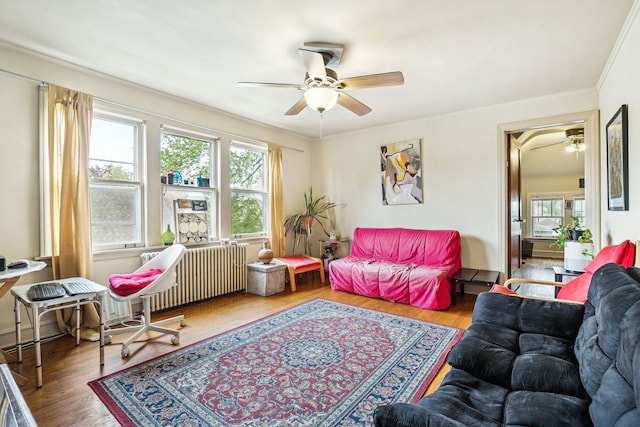 1127 Lathrop Ave, Forest Park, IL 60130 - living room featuring crown molding, radiator, a ceiling fan, and wood finished floors