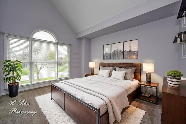 3670 Persimmon Dr, Algonquin, IL 60102 - carpeted bedroom with high vaulted ceiling