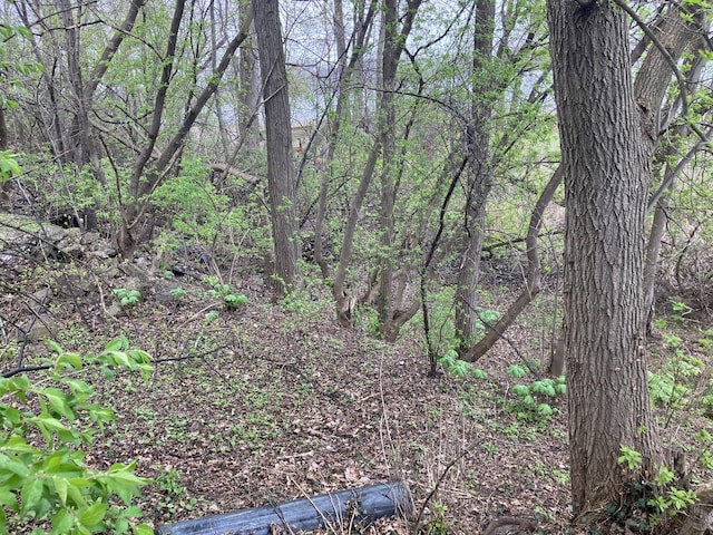 26862 W Longwood Dr, Ingleside, IL 60041 - view of nature with a wooded view