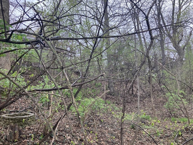 26862 W Longwood Dr, Ingleside, IL 60041 - view of nature featuring a forest view
