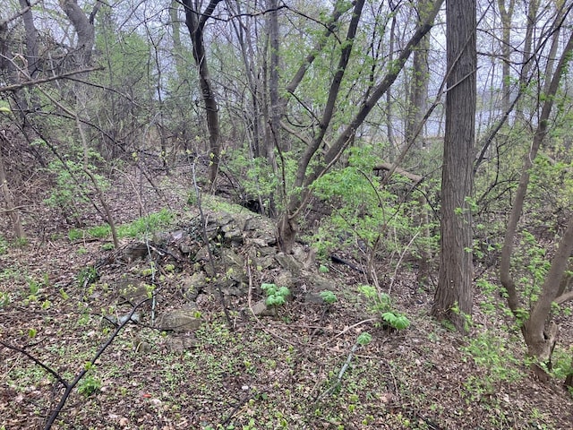 26862 W Longwood Dr, Ingleside, IL 60041 - view of local wilderness featuring a view of trees