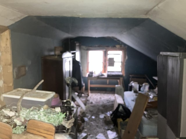 26862 W Longwood Dr, Ingleside, IL 60041 - bonus room featuring lofted ceiling