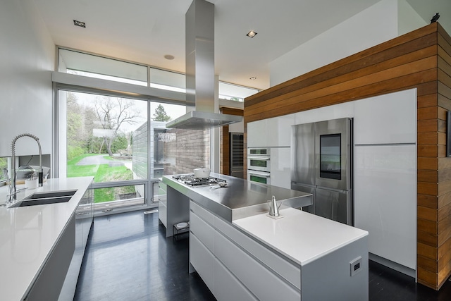 5N770 Pearson Dr, Wayne, IL 60184 - kitchen with appliances with stainless steel finishes, modern cabinets, a sink, and island exhaust hood
