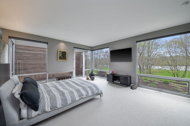 5N770 Pearson Dr, Wayne, IL 60184 - carpeted bedroom with multiple windows