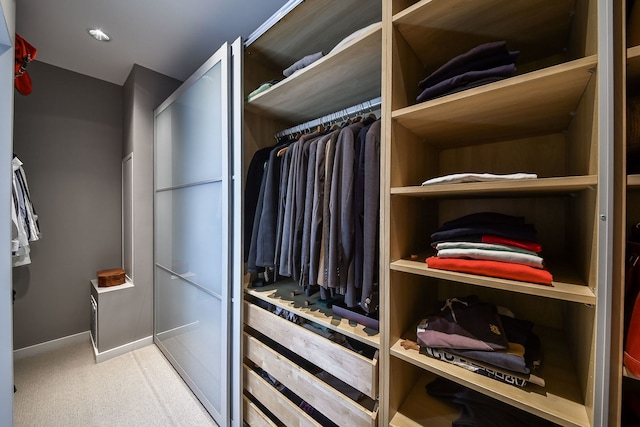 5N770 Pearson Dr, Wayne, IL 60184 - spacious closet with carpet