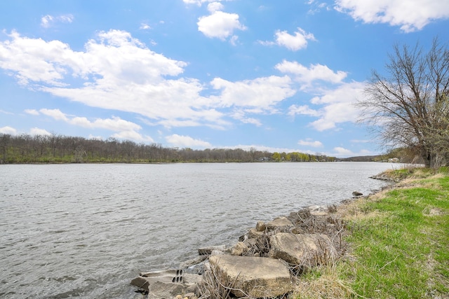 5N770 Pearson Dr, Wayne, IL 60184 - water view featuring a forest