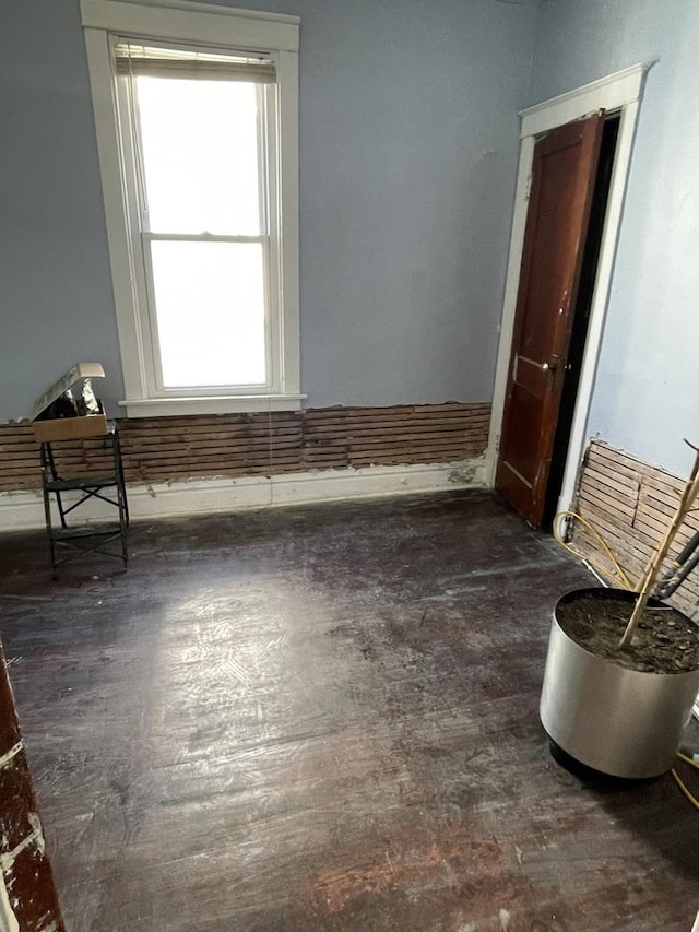 spare room featuring wood finished floors and a healthy amount of sunlight