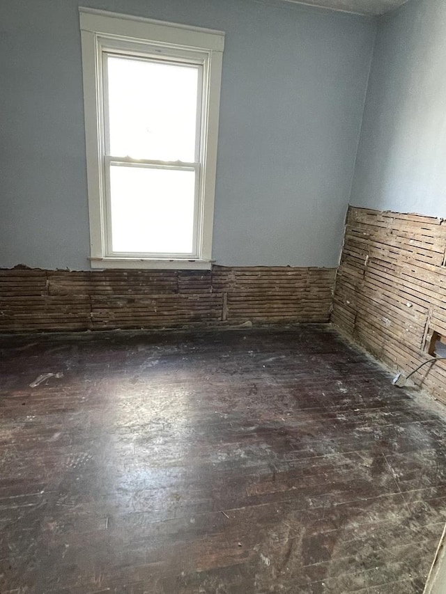 spare room featuring a healthy amount of sunlight and wood finished floors