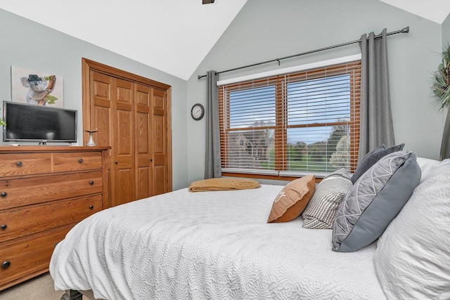 bedroom with high vaulted ceiling and a closet