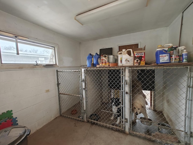 8400 Howe Rd, Wonder Lake, IL 60097 - view of storage area