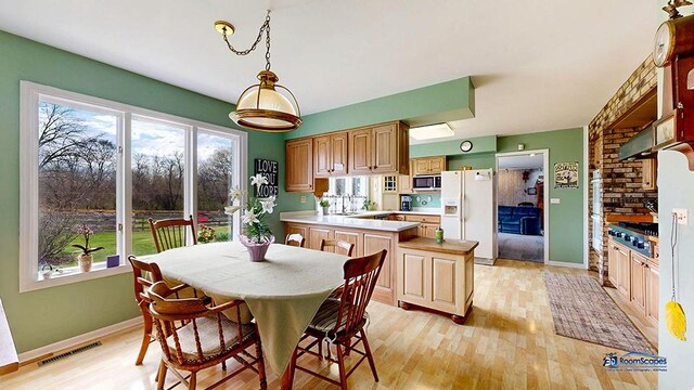 8400 Howe Rd, Wonder Lake, IL 60097 - dining space featuring visible vents, baseboards, light wood-style floors, and a healthy amount of sunlight