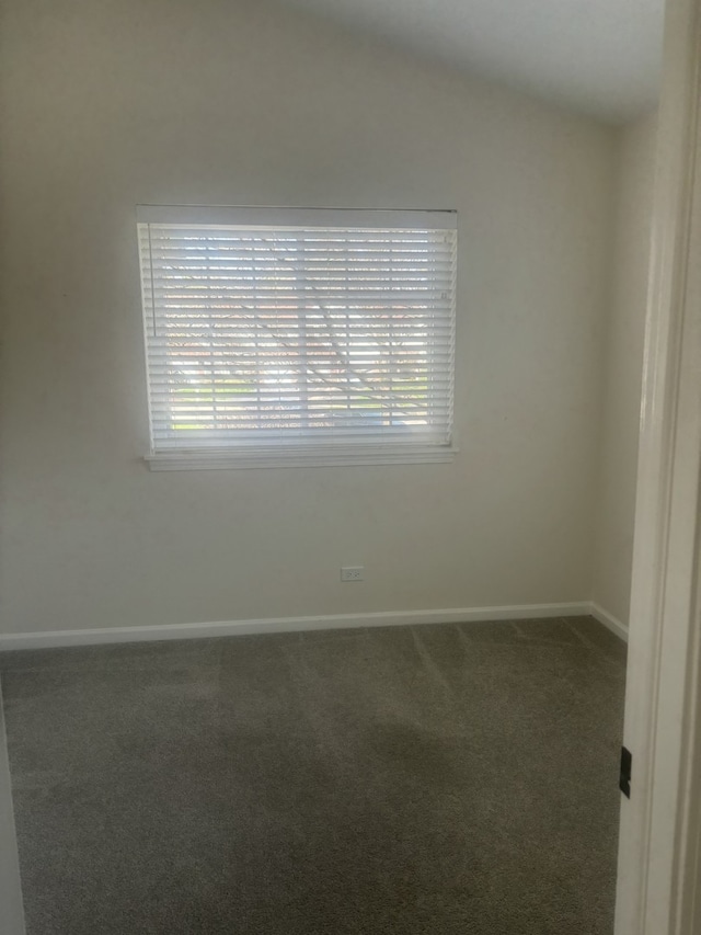spare room with baseboards, a wealth of natural light, and carpet floors