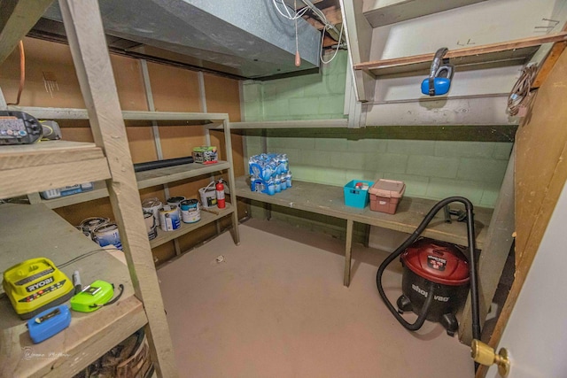 1315 Dellmar Ave, Joliet, IL 60435 - view of storage area