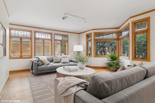 living room with rail lighting, baseboards, crown molding, and light wood-type flooring