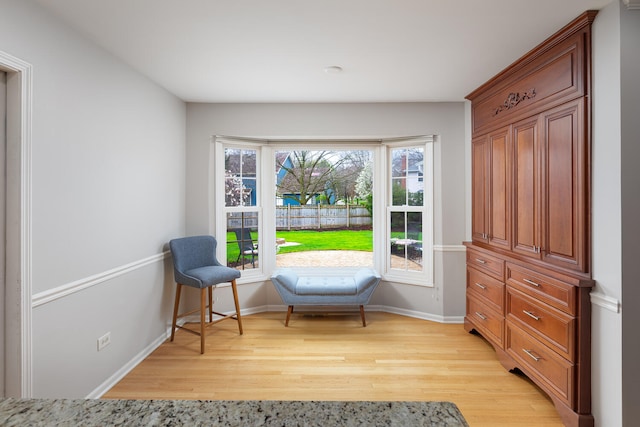 925 Appomattox Cir, Naperville, IL 60540 - living area with baseboards and light wood-type flooring