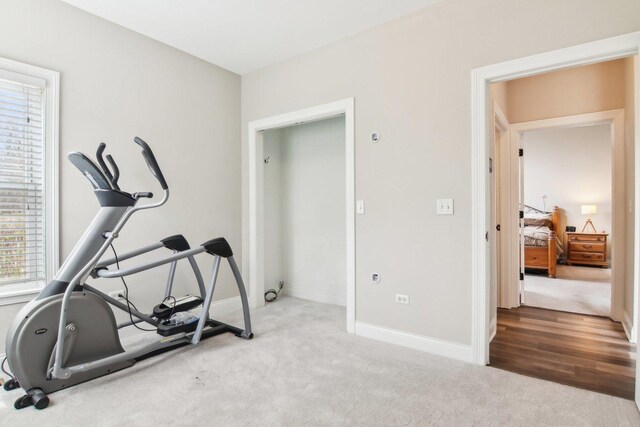 1461 S Candlestick Way, Waukegan, IL 60085 - workout room featuring carpet and baseboards