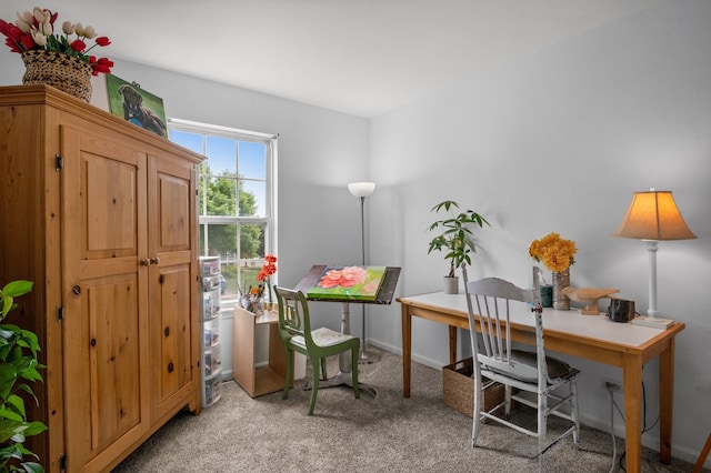 3 Spring Garden Ct, Lake In The Hills, IL 60156 - office with light carpet and baseboards