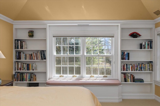 1300 Hackberry Ln, Winnetka, IL 60093 - bedroom with vaulted ceiling