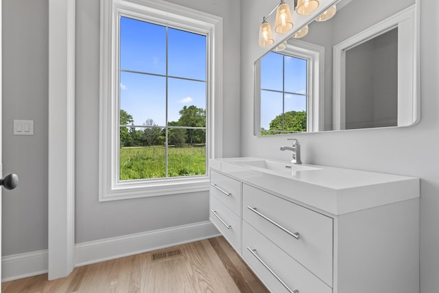 7213 Daybreak Ln, Long Grove, IL 60060 - bathroom with baseboards, vanity, wood finished floors, and a chandelier