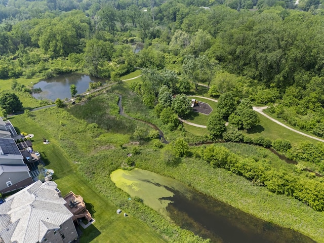 7213 Daybreak Ln, Long Grove, IL 60060 - aerial view of property and surrounding area with a nearby body of water and a heavily wooded area
