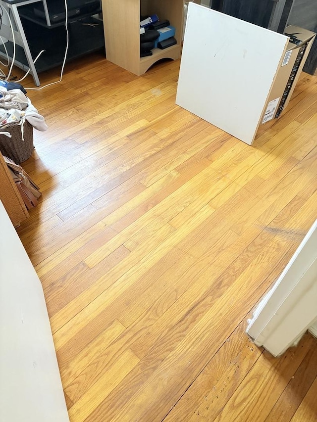 interior details with light wood-type flooring
