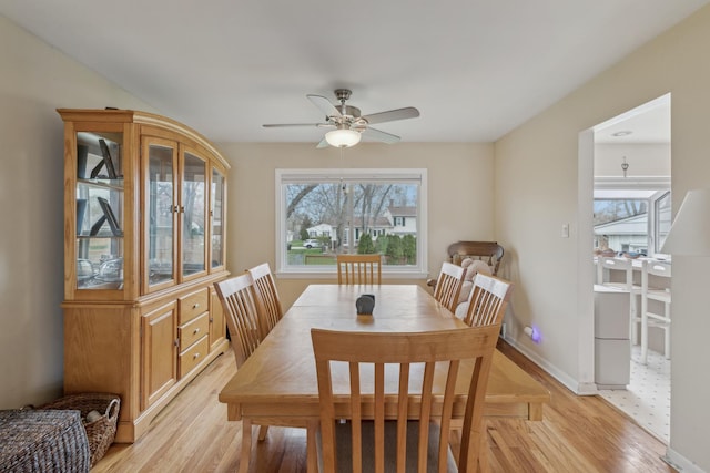 dining room with a ceiling fan, baseboards, a wealth of natural light, and light wood finished floors