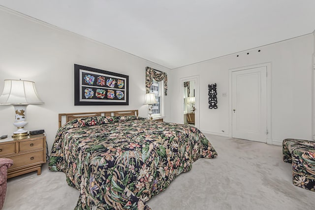 bedroom with carpet floors