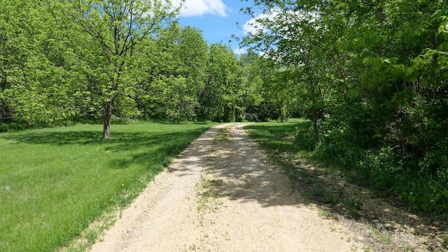 2346 W Longhollow Rd, Elizabeth, IL 61028 - view of dirt / gravel road featuring a wooded view