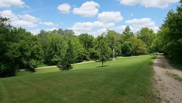 2346 W Longhollow Rd, Elizabeth, IL 61028 - view of home's community with a lawn and a wooded view