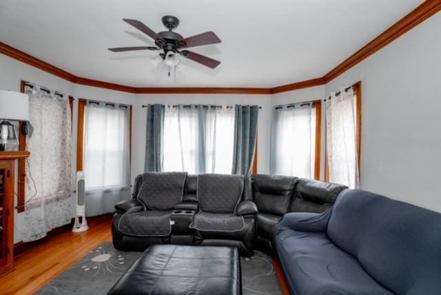 living room featuring ceiling fan, ornamental molding, and wood finished floors