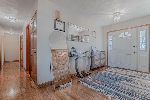 39935 N Prairie View Dr, Wadsworth, IL 60083 - entrance foyer featuring light wood-style flooring and baseboards