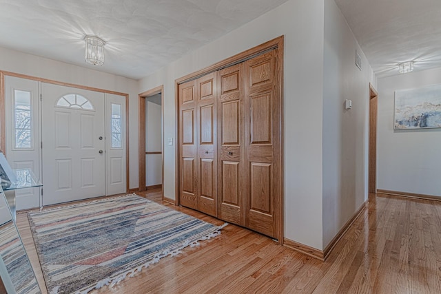 39935 N Prairie View Dr, Wadsworth, IL 60083 - entrance foyer with light wood-type flooring and baseboards