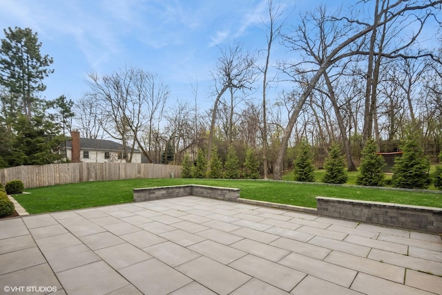 16 W Birchwood Ave, Hinsdale, IL 60521 - view of patio