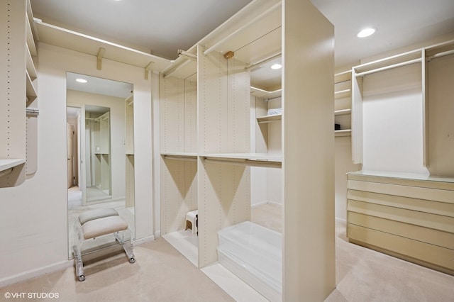 1220 Rudolph Rd Unit 5F, Northbrook, IL 60062 - walk in closet with carpet