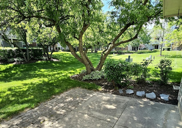 view of green lawn