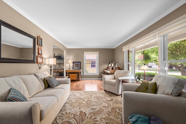 1088 Alameda Dr, Aurora, IL 60506 - living room with wood finished floors and crown molding