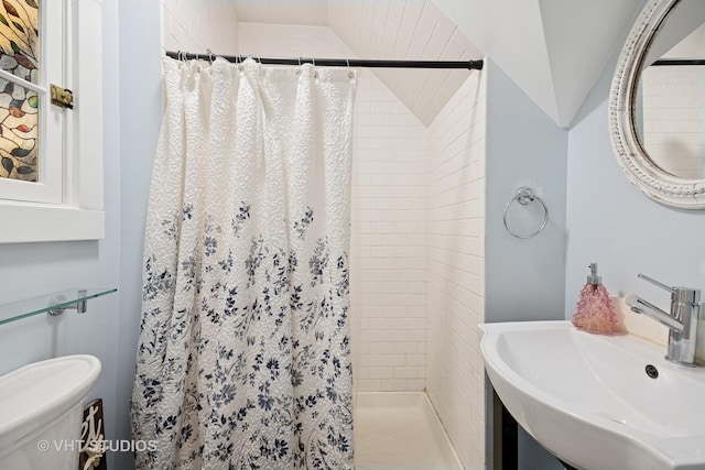 full bathroom featuring toilet, a shower stall, and a sink