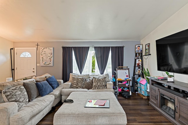 living room featuring dark wood-type flooring