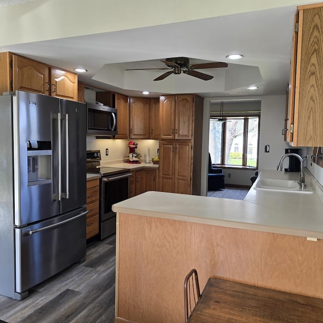 kitchen with stainless steel appliances, ceiling fan, a sink, a raised ceiling, and a peninsula