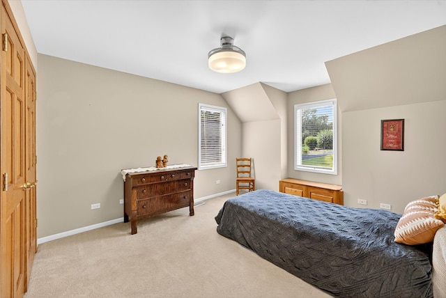 4 Bernay Ct, Cary, IL 60013 - photo 37