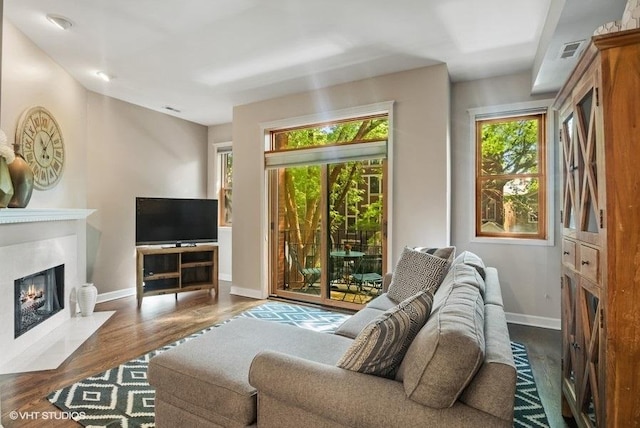 living area featuring baseboards, visible vents, wood finished floors, and a fireplace