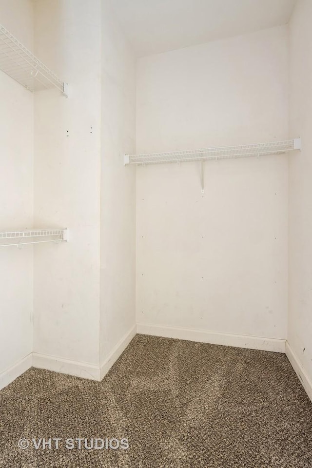 walk in closet with carpet