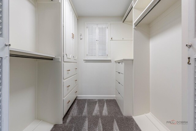 spacious closet with carpet