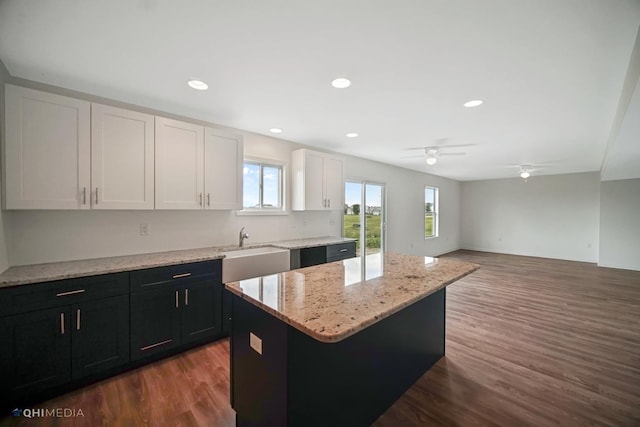 814 English St, Braidwood, IL 60408 - kitchen featuring white cabinets, a sink, ceiling fan, dark wood-style flooring, and light stone countertops