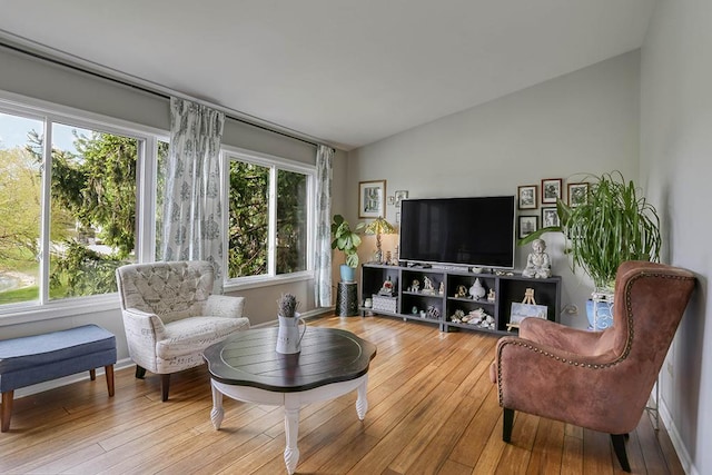 living area featuring hardwood / wood-style flooring and lofted ceiling