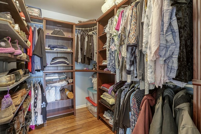 spacious closet featuring wood finished floors