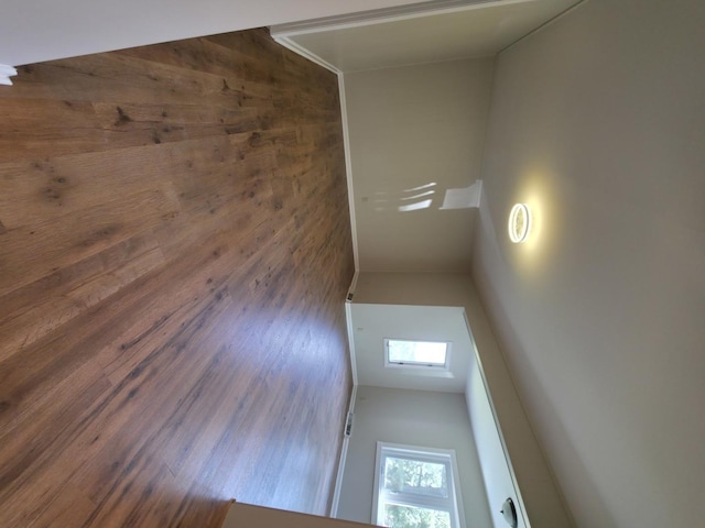 618 Princeton Rd, Depue, IL 61322 - empty room featuring wood walls